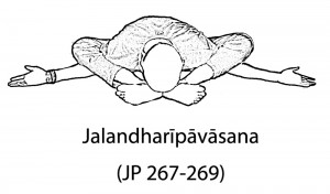 Jalandharīpāvāsana