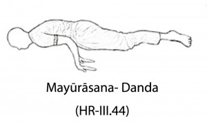 Mayūrāsana- Daṇḍa
