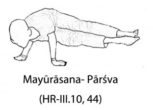 Mayūrāsana- Pārśva