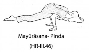 Mayūrāsana- Pinda