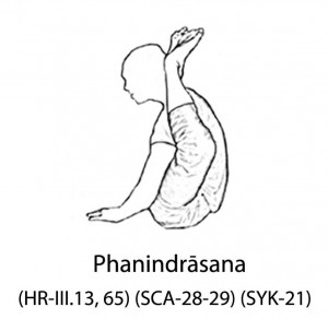 Phanindrāsana